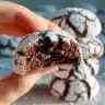 Delicious homemade Chocolate Crinkle Cookies dusted with powdered sugar.