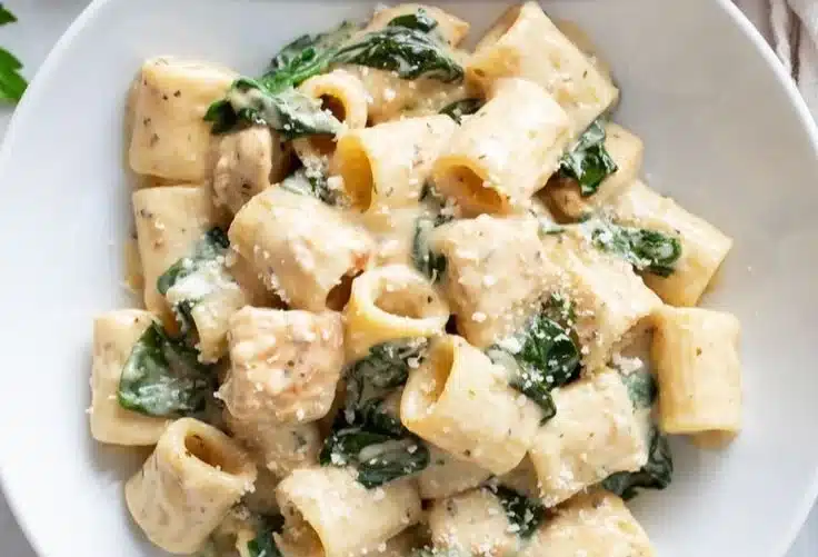 Creamy Chicken Spinach Pasta