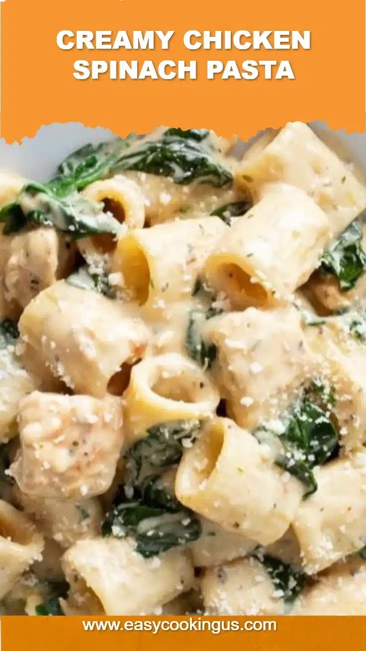 Creamy Chicken Spinach Pasta