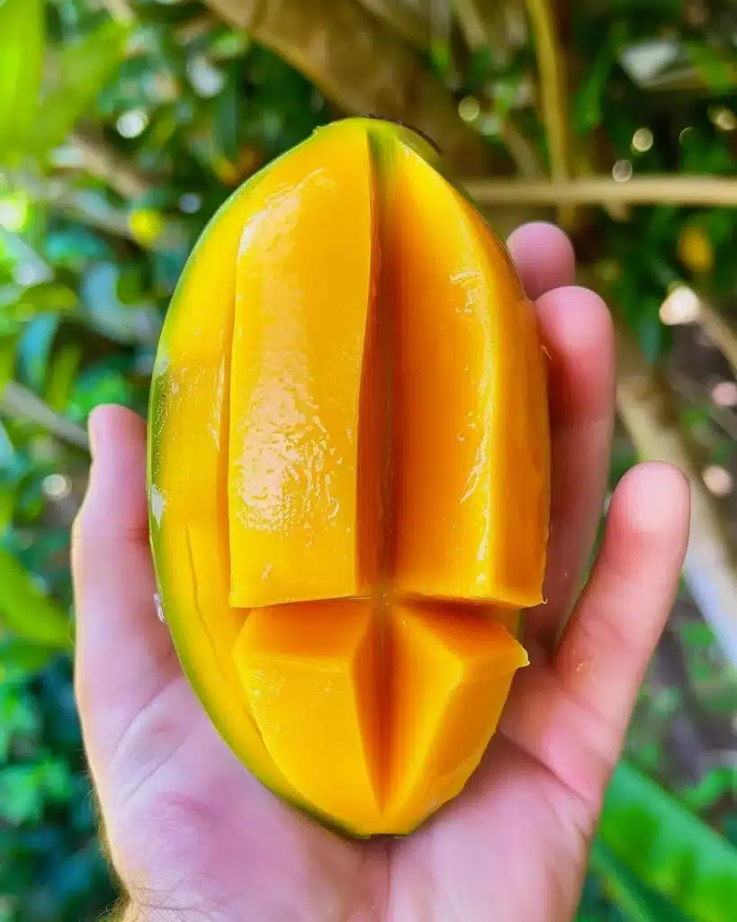 Five types of honey mustard tasted for review with a spoon.