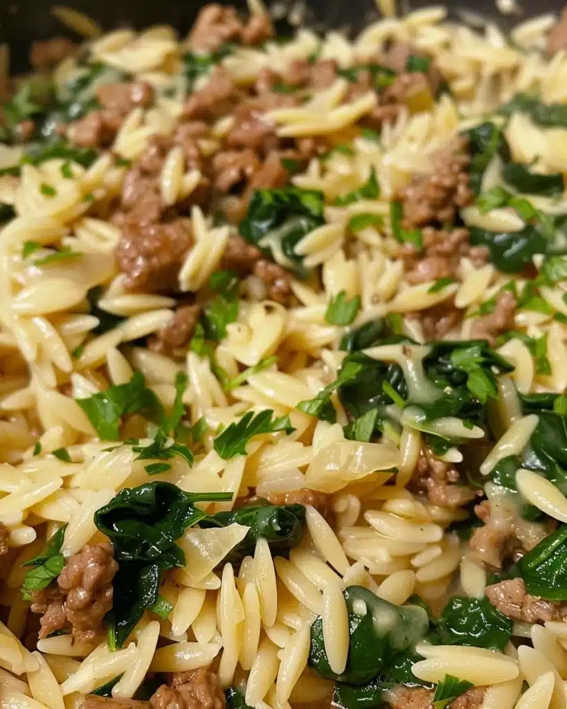 Creamy ground beef orzo served in a bowl with fresh parsley.