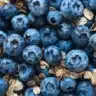 Freshly baked blueberry crumble served in a dish