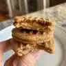 Delicious classic chewy peanut butter cookies fresh out of the oven.