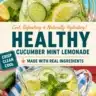 A refreshing glass of cucumber-mint lemonade garnished with mint leaves.