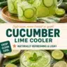 Refreshing Cucumber Lime Cooler in a glass with mint leaves and ice