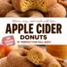 Homemade apple cider doughnuts dusted with cinnamon sugar