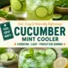 Minty Cucumber Cooler drink with fresh mint and cucumber slices