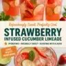 Strawberry-infused cucumber limeade in a glass with fresh fruit garnish