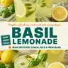 A refreshing glass of basil lemonade with lemon slices and fresh basil leaves.