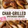Delicious char-grilled spatchcock chicken served on a plate with herbs.