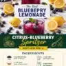 Citrus-Blueberry Spritzer in a glass with fresh blueberries and citrus slices