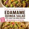 Colorful quinoa salad with a variety of fresh vegetables
