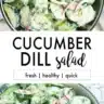 Cucumber and dill salad served in a bowl topped with herbs and spices