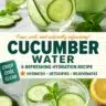 Refreshing cucumber detox water in a glass with sliced cucumbers and mint leaves