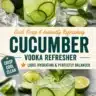 Chilled glass of cucumber-infused vodka garnished with cucumber slices.