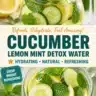 Cucumber Lemon Mint Detox Water in a glass with fresh ingredients