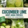 Refreshing Cucumber Lime Mint Agua Fresca in a glass with mint leaves