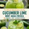 Refreshing Cucumber Lime Mint Agua Fresca served in a glass with mint leaves