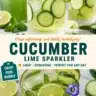 Cucumber Lime Sparkler beverage garnished with cucumber slices and lime wedges