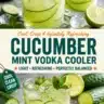 Refreshing Cucumber Mint Vodka Cooler cocktail in a glass with mint leaves