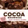 Decadent cocoa brownies, rich and gooey chocolate dessert