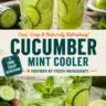 Refreshing Cucumber-Mint Cooler served in a glass with mint leaves and cucumber slices