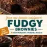 Decadent fudgy brownies freshly baked and served on a plate