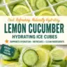 Lemon and cucumber hydration ice cubes in a clear tray