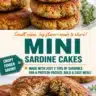 Delicious mini sardine cakes served on a plate with garnish