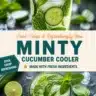 Refreshing Minty Cucumber Cooler drink served in a glass with mint leaves.
