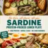 Protein-packed sardine lunch plate with vegetables and whole grain bread
