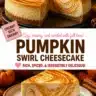 Delicious Pumpkin Swirl Cheesecake topped with cream and pumpkin spice