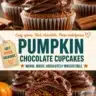 Delicious spiced pumpkin cupcakes with rich chocolate buttercream frosting