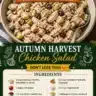 Autumn Harvest Chicken Salad with seasonal ingredients and flavors