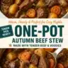 A hearty bowl of autumn one-pot beef stew with fresh vegetables and herbs