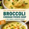 Bowl of creamy cheddar broccoli potato soup garnished with fresh herbs