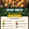 Creamy gnocchi with spinach and mushrooms in a delicious creamy sauce