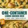 Creamy one-pot lemon chicken with orzo served in a bowl.