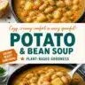 Bowl of creamy potato and white bean soup topped with herbs