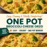 Creamy one pot broccoli cheese orzo dish ready to serve.