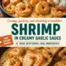 Shrimp cooked in creamy garlic sauce served in a bowl
