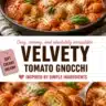 Delicious velvety tomato gnocchi served with fresh basil