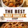 Bowl of delicious Beef and Barley Soup garnished with fresh herbs