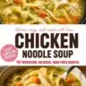 Bowl of homemade chicken noodle soup with fresh vegetables and herbs.