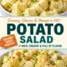 A bowl of creamy classic potato salad topped with fresh herbs.