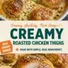 Creamy roasted chicken thighs served on a plate with herbs and spices