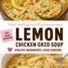 Delicious Lemon Chicken Orzo Soup with fresh herbs and lemon slices.
