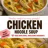 Bowl of delicious, homemade Chicken Noodle Soup with vegetables and herbs