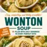 Bowl of aromatic wonton soup with dumplings and green onions