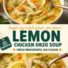 Bowl of Citrus Chicken Orzo Soup with colorful vegetables.